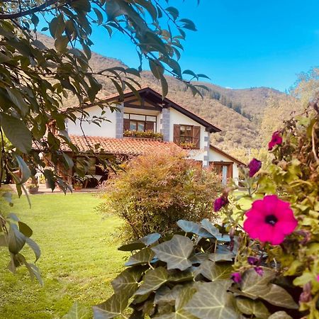 Vila Excepcional Casa El Olivo Ojedo Exteriér fotografie